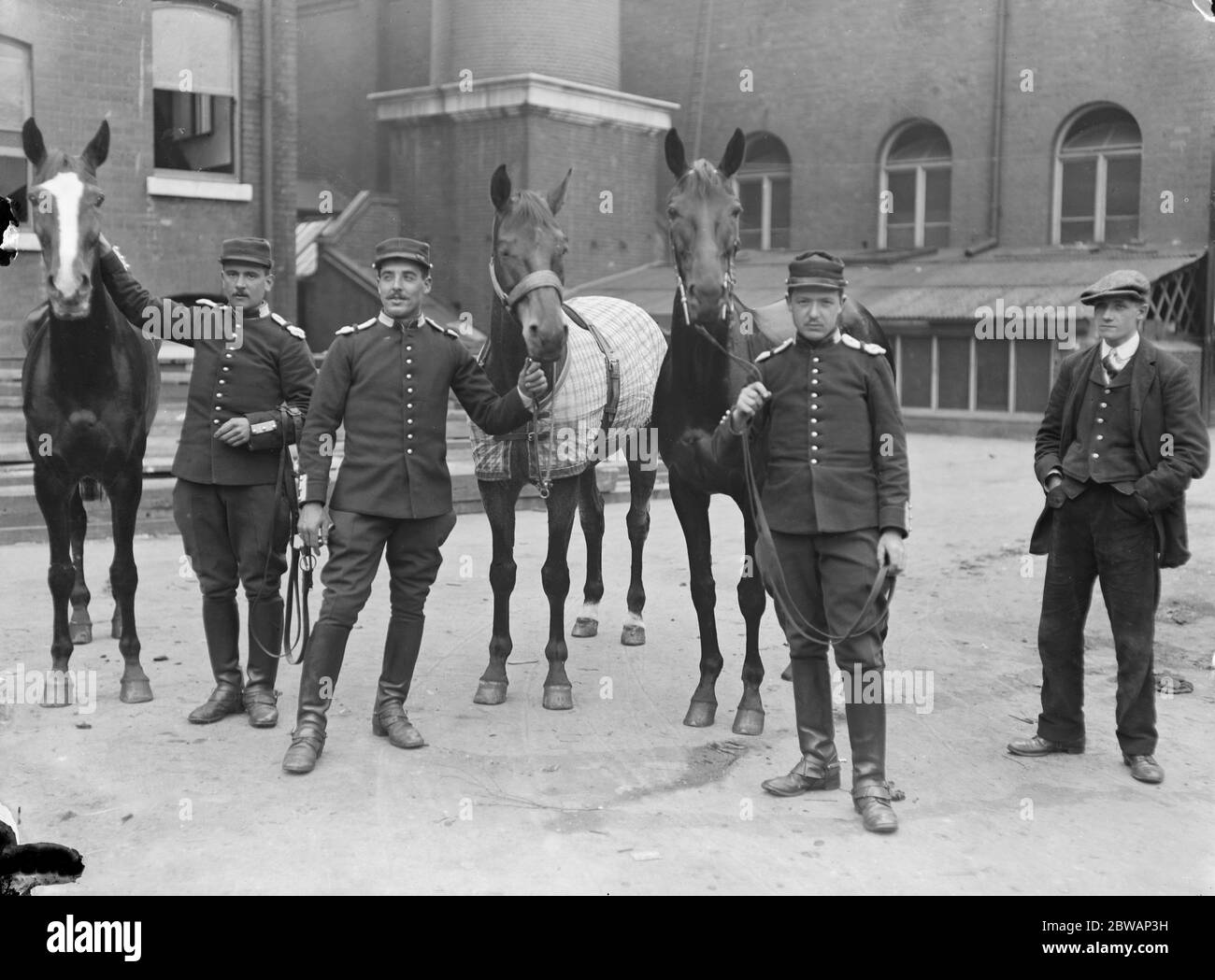 Spettacolo Internazionale di cavalli all'Olimpia tre cavalli francesi Datura II , Bazacian e Roiville Foto Stock