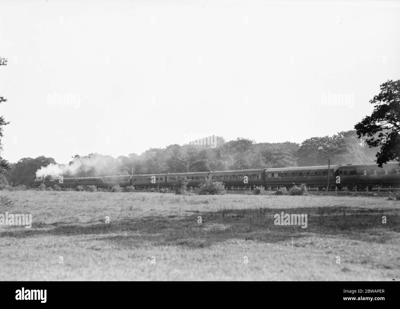 Southern Railway Express passando attraverso la New Forest Foto Stock