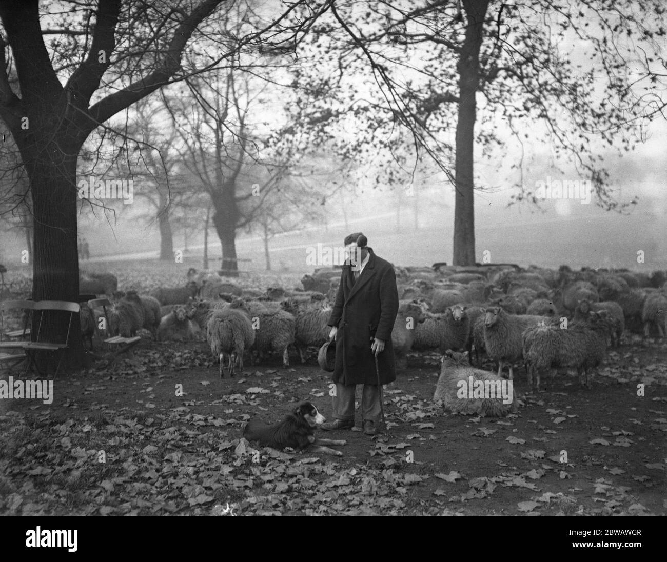 Giorno dell'armistizio . Il pastore di Hyde Park osserva i due minuti di silenzio. 1932 Foto Stock