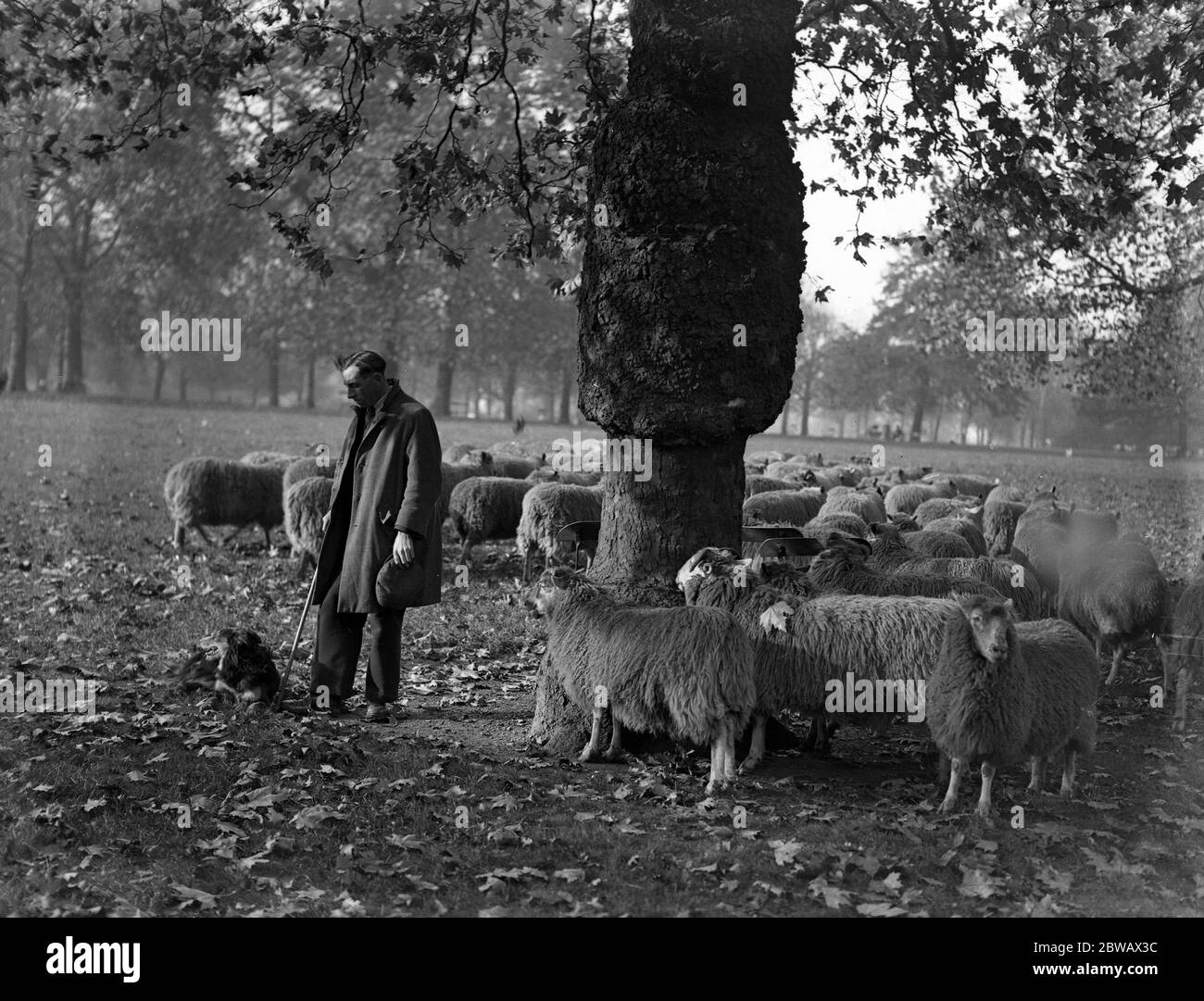 Giorno dell'armistizio . Il pastore di Hyde Park osserva i due minuti di silenzio nel giorno della Remebrance . 1933 Foto Stock