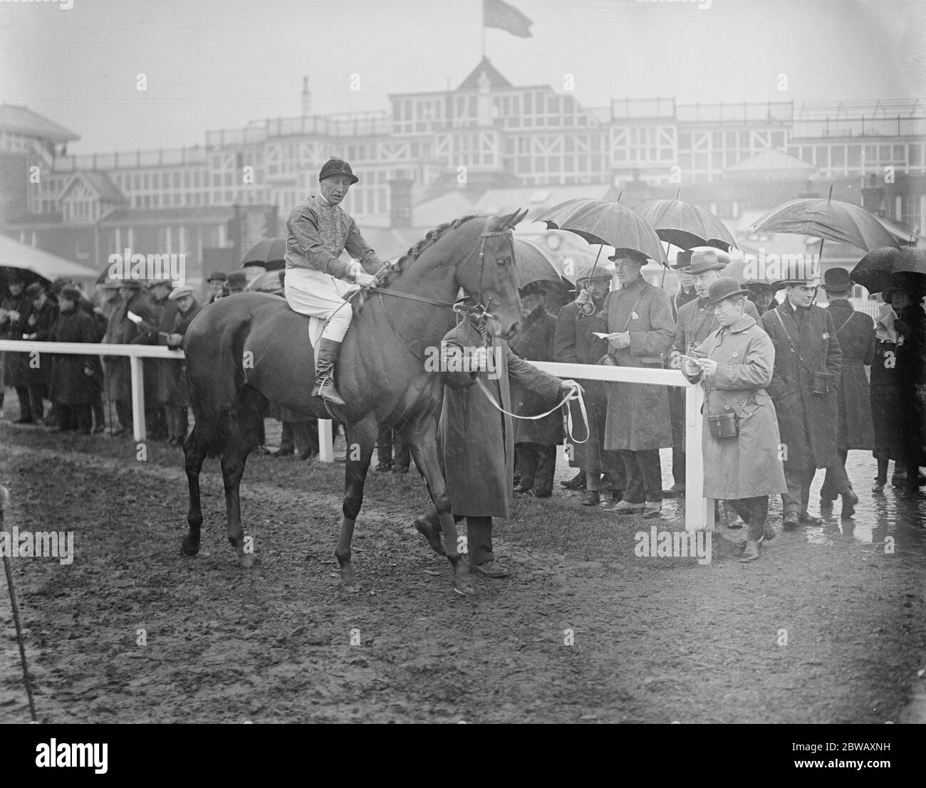 La doppia vittoria del Re a Newbury . Weathervane ( H Jones up ) dopo aver vinto i Greenham Stakes . 31 marzo 1922 corsa a cavallo per Re Giorgio V. Foto Stock