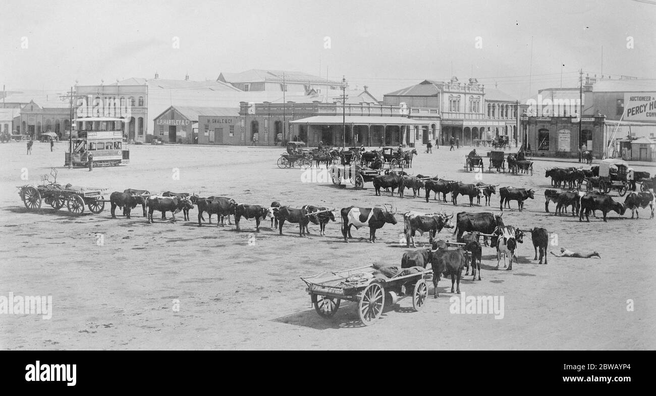 East London , Piazza del mercato del Sudafrica 13 aprile 1922 Foto Stock