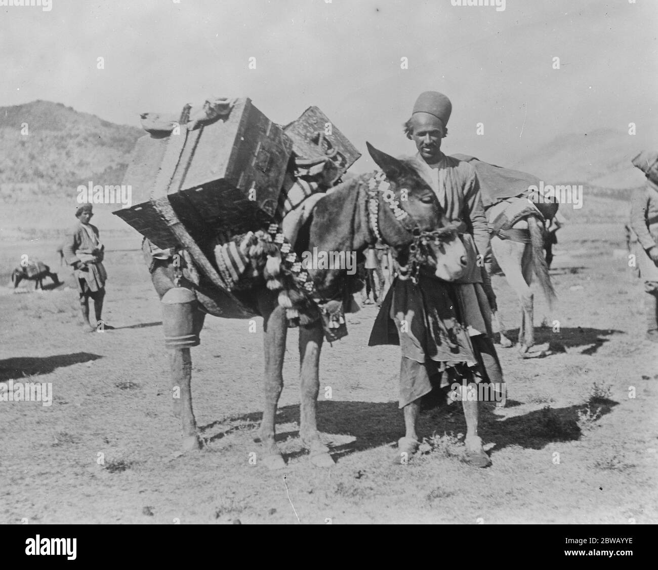 Un mulattiere e mulo persiano in Iran. Questi muli trasportano carichi di 320 lb 1919 Foto Stock