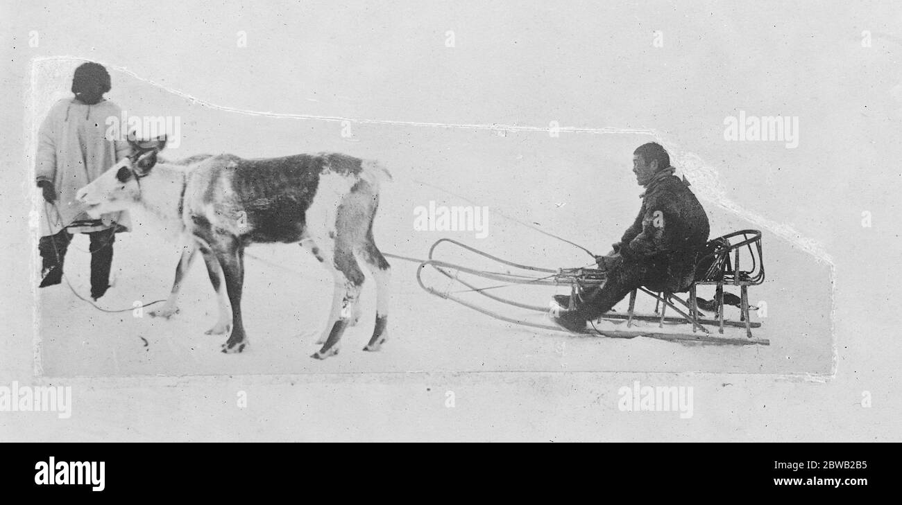 Lamoot renne vestito nord-ovest Kamchatka , Russia 1920 Foto Stock