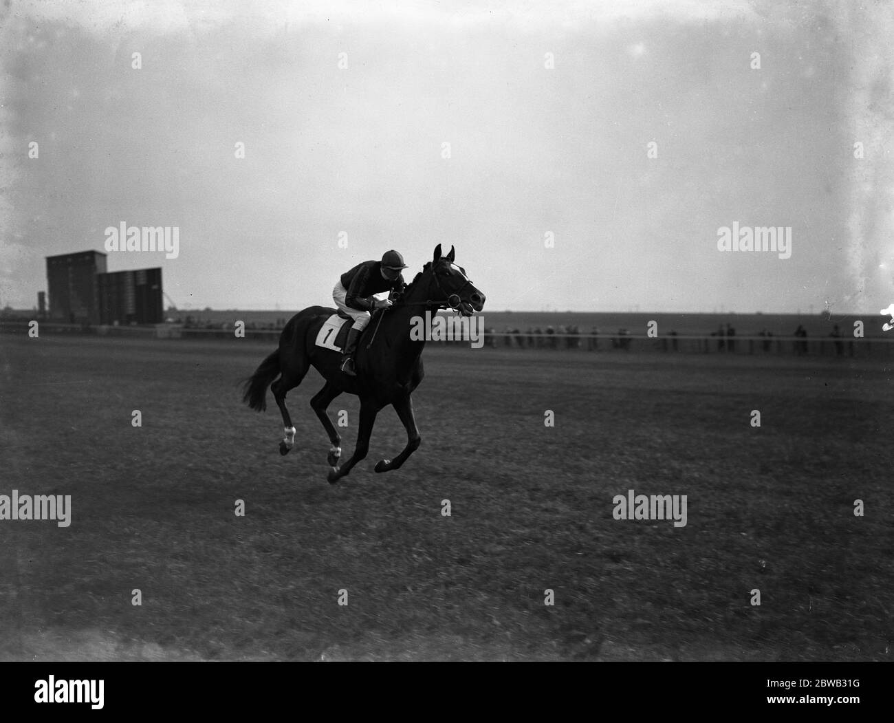 All' ippodromo di Newmarket , il cavallo da corsa,' River Prince', si fa strada lungo il corso. 29 settembre 1937 . Foto Stock