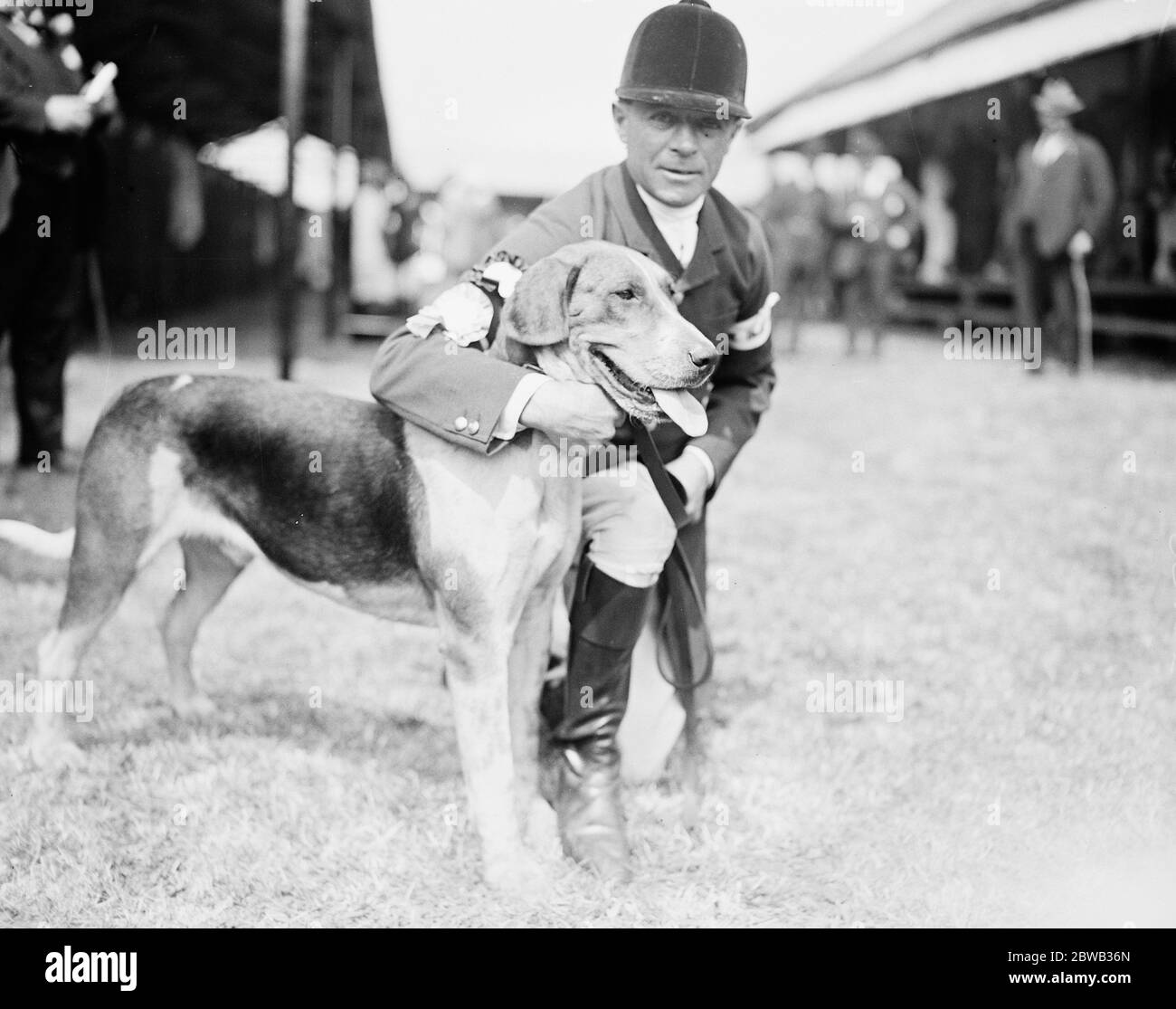 Lo spettacolo foxhound di Peterborough si è tenuto mercoledì a Peterborough . Tom Newman il famoso cacciatore con Samson un foxhound che ha ottenuto un premio speciale 12 luglio 1922 Foto Stock