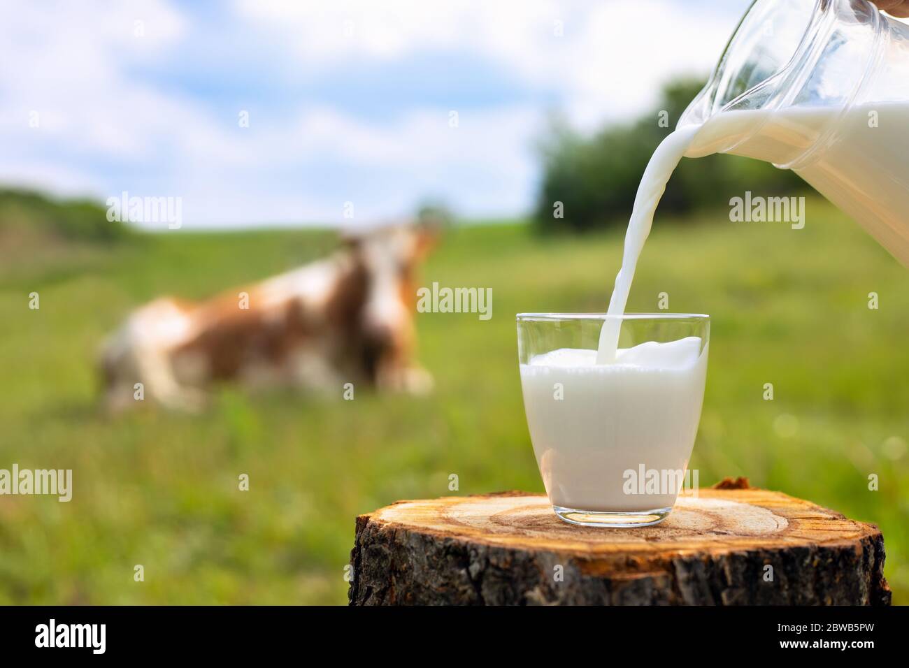 Versare il latte nel vetro Foto Stock