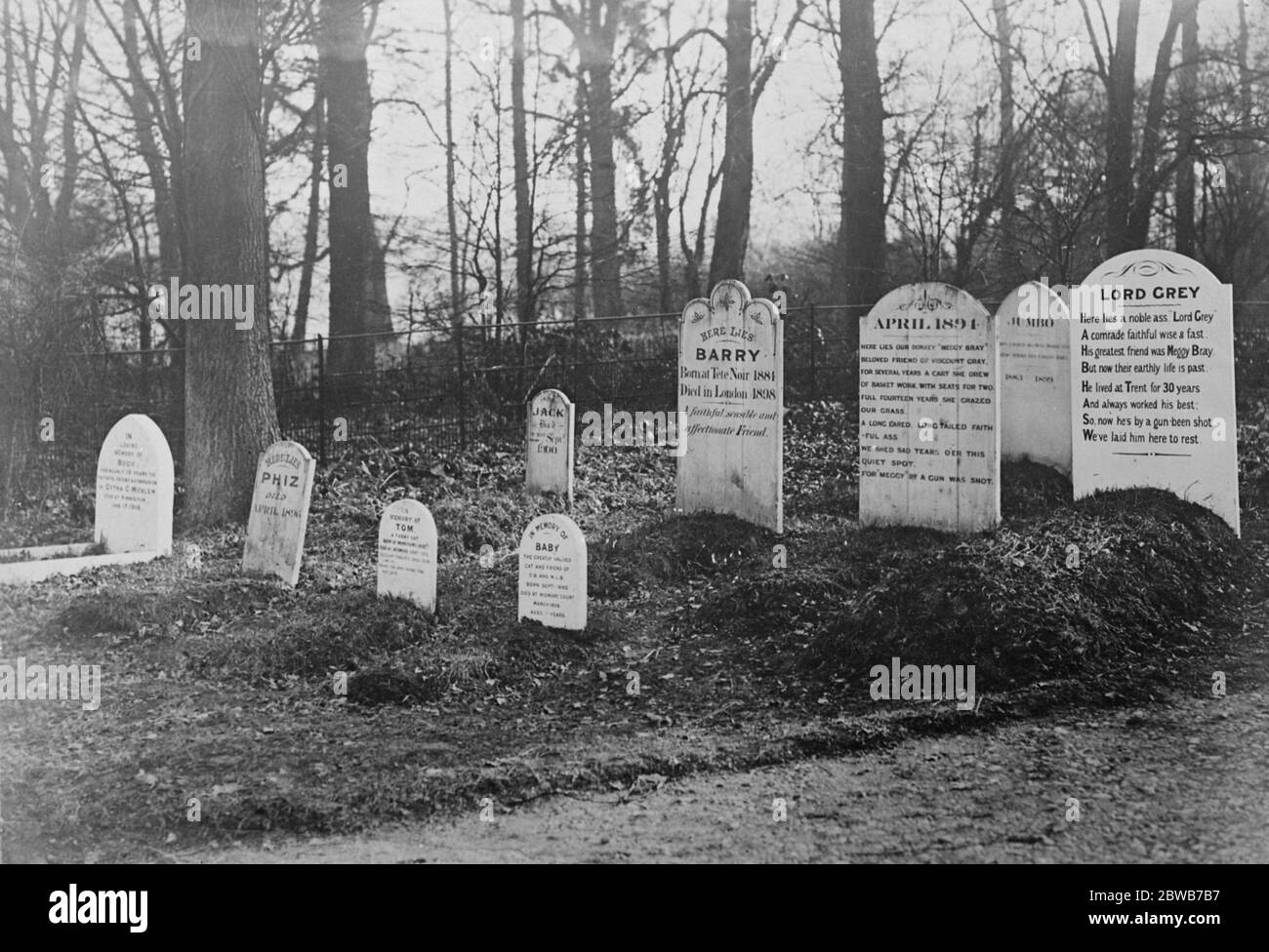 Il romanticismo di Sir Philip Sassoon Camlet Moat . Sir Philip Sassoon di Trent Park , New Barnet , iniziò il suo ritorno da Luxor , Egitto , a scavare il terreno a un miglio di distanza dalla sua casa in uno spazio aperto chiamato Camlet Moat . Cercava un petto d'oro e di pietre preziose , che secondo la tradizione , no , si può portare via perché è legato al luogo da un incantesimo . Nella foto è raffigurato il cimitero degli animali vicino al fossato di Trent Park . 14 febbraio 1924 Foto Stock