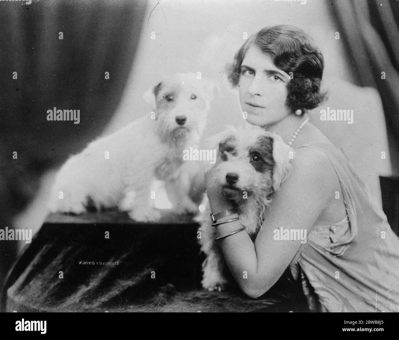 Presidente reale del Club di allevamento Romania . La Principessa Corona di Romania con due dei suoi terrieri campione. 23 febbraio 1925 Foto Stock