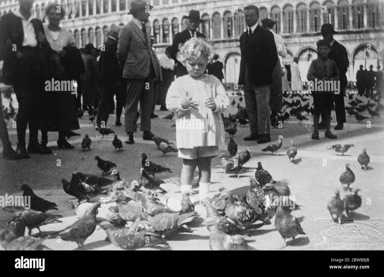 Futuro Re come amante degli uccelli . Il piccolo Principe Michele di Romania , unico figlio del Principe ereditario , fotografò recentemente a Venezia mentre nutriva i famosi piccioni . 26 novembre 1924 Foto Stock