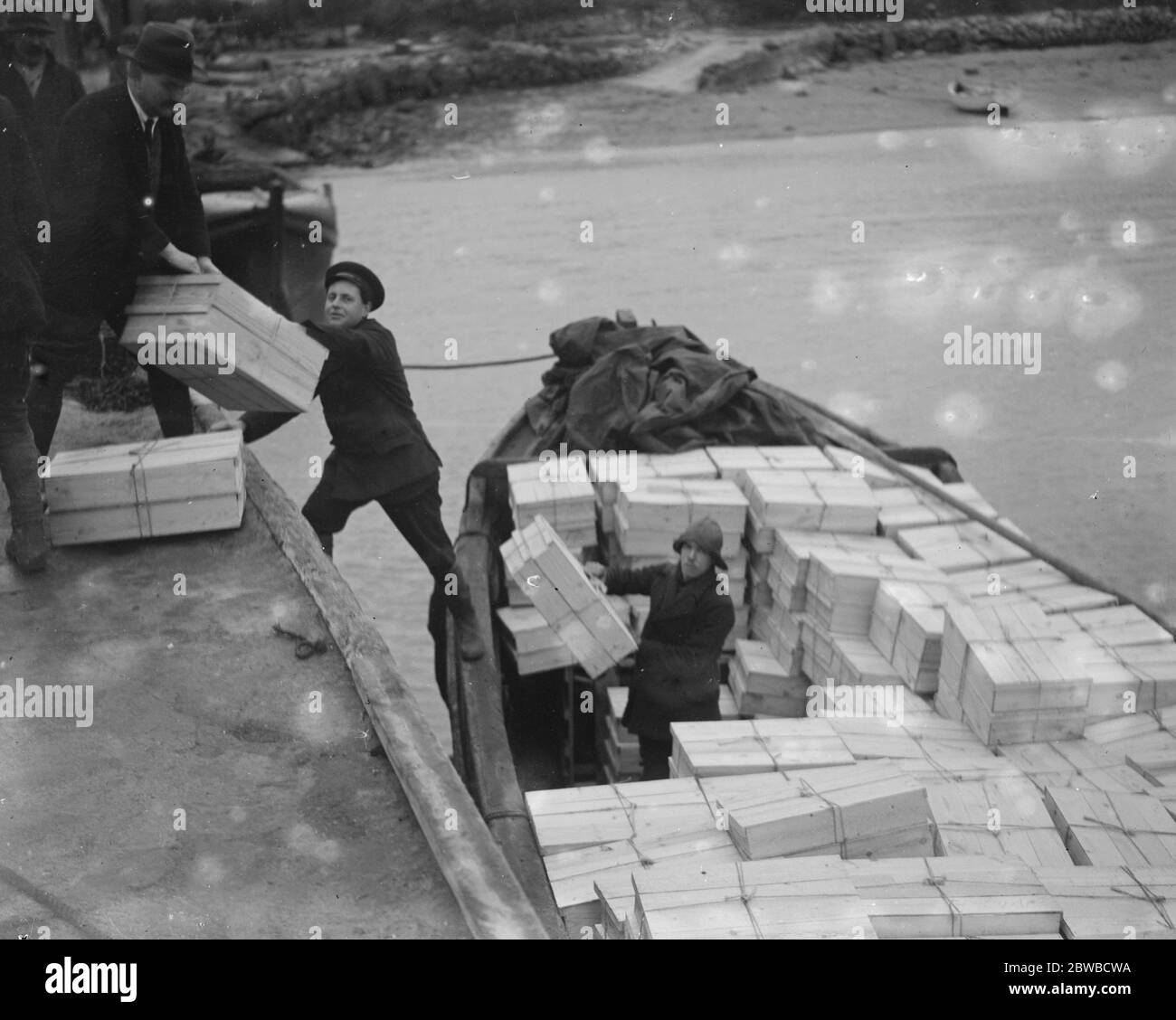 La raccolta di fiori nelle Isole Scilly . Caricamento dei fiori in barche a Tresco . 1923 Foto Stock