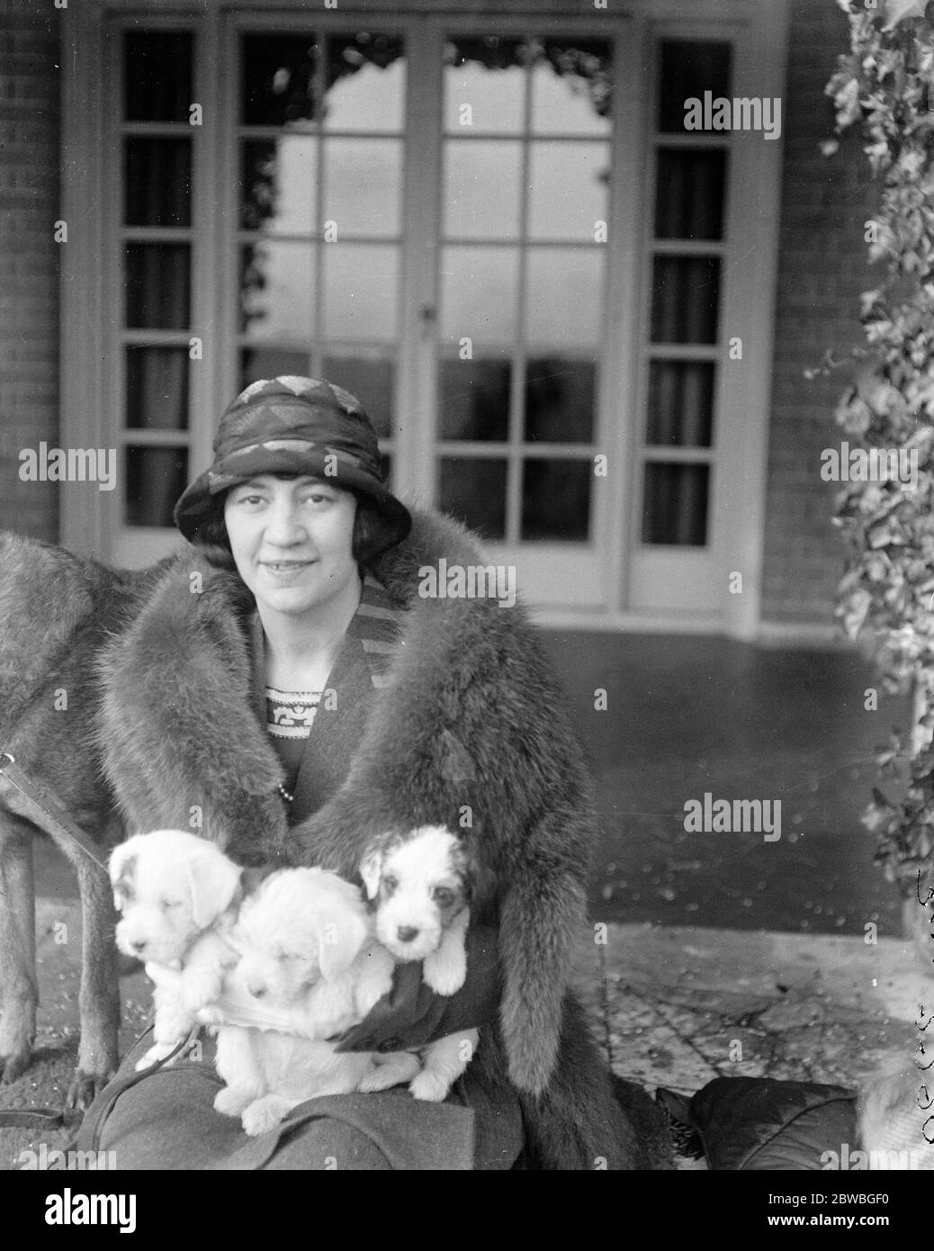 Lady Terrington candidata per South Bucks . Lady Terrington , candidata liberale per i Bucks del Sud , è fortemente interessata all'agricoltura . Lady Terrington ha posto . 17 novembre 1923 vera Woodhouse, Lady Terrington è stata eletta al Parlamento come una delle prime donne parlamentari (8 in totale in quel Parlamento) - elezioni generali, dicembre 1923 Foto Stock