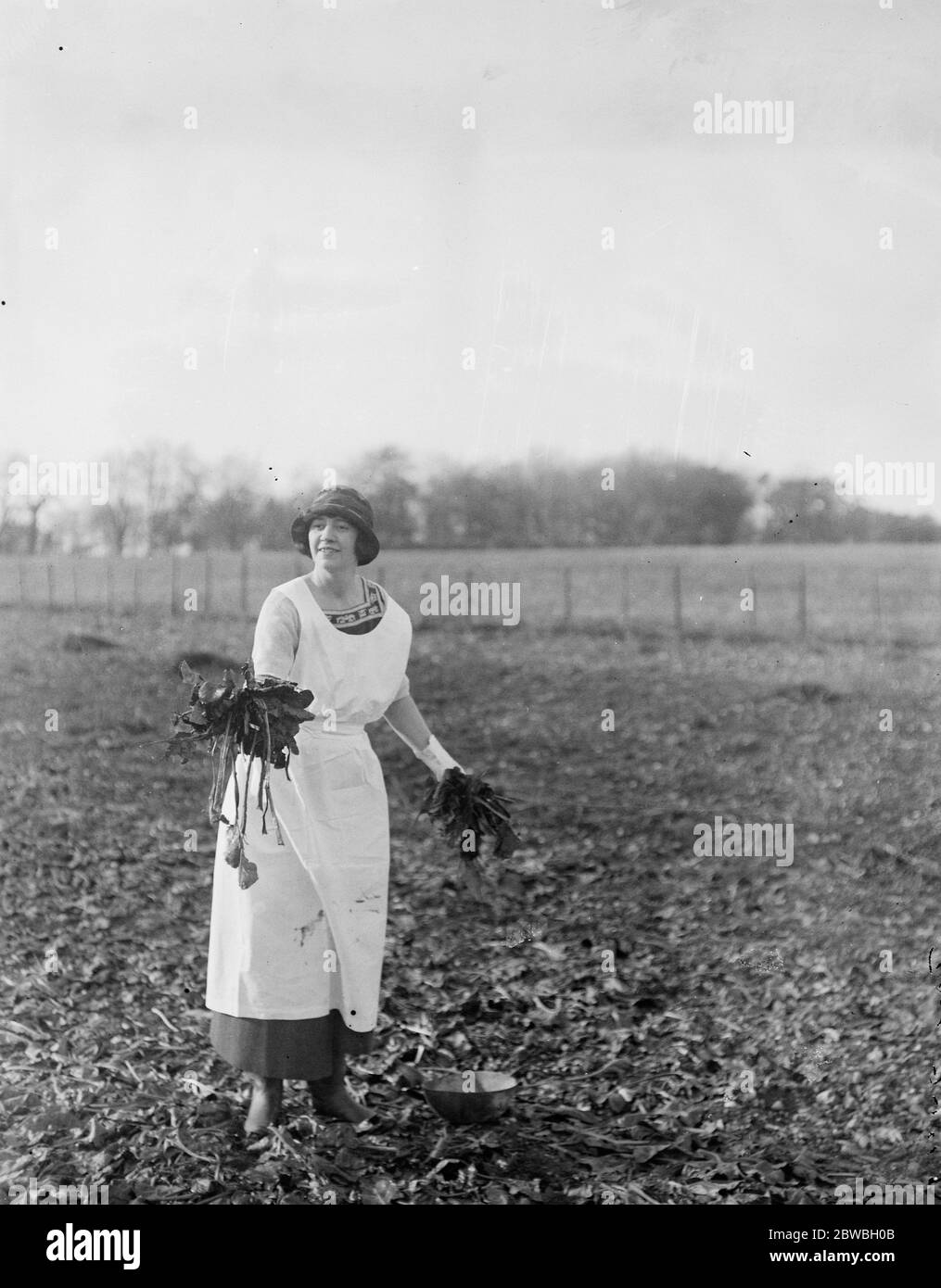 Lady Terrington candidata per South Bucks . Lady Terrington , candidata liberale per i Bucks del Sud , è fortemente interessata all'agricoltura ed è un entusiasta amante degli animali . Lady Terrington fotografò nella sua fattoria . 17 novembre 1923 vera Woodhouse, Lady Terrington è stata eletta al Parlamento come una delle prime donne parlamentari (8 in totale in quel Parlamento) - elezioni generali, dicembre 1923 Foto Stock