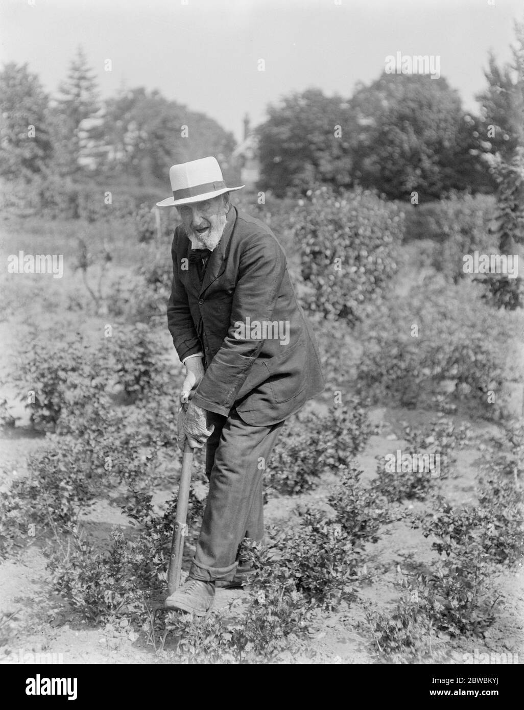 Moderazione il segreto della lunga vita Charles Tulley di Hassocks Surrey, che sta ancora lavorando duramente al 102 13 giugno 1922 Foto Stock