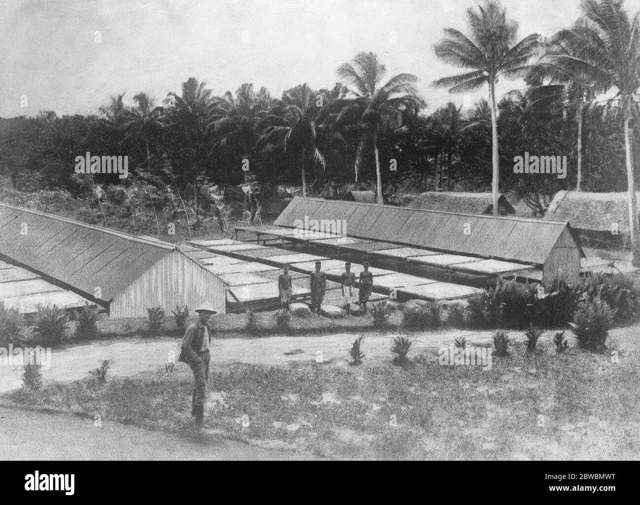 German East Africa Nuala , un terreno di essiccazione su una proprietà di copra agosto 1921 Foto Stock