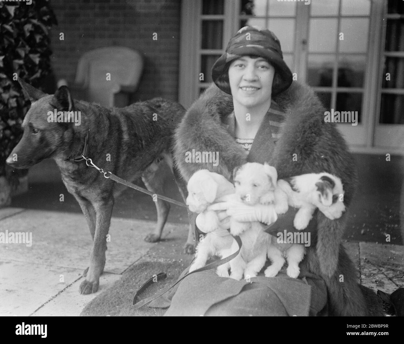 Lady Terrington candidata per South Bucks . Lady Terrington , candidata liberale per i Bucks del Sud , è fortemente interessata all'agricoltura . Lady Terrington con alcuni dei suoi cani . 17 novembre 1923 vera Woodhouse, Lady Terrington è stata eletta al Parlamento come una delle prime donne parlamentari (8 in totale in quel Parlamento) - elezioni generali, dicembre 1923 Foto Stock