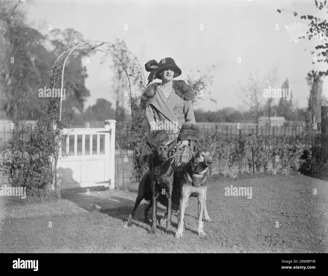 La sig.ra G Duller allena cavalli purosangue e longuette alsaziane nella sua residenza di Epsom. La sig.ra Duller, nella sua residenza Epsom, con due dei suoi longui alsaziani. 26 ottobre 1923 Foto Stock