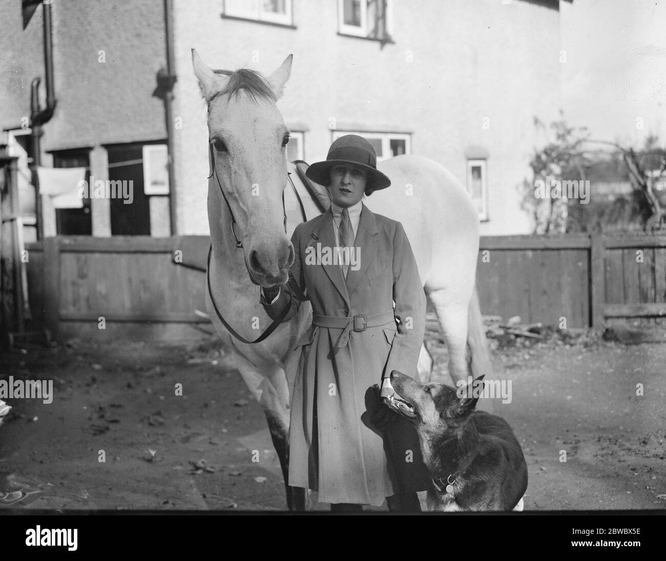 La sig.ra G Duller allena cavalli purosangue e Wolfhounds alsaziani nella sua residenza di Epsom. 26 ottobre 1923 Foto Stock