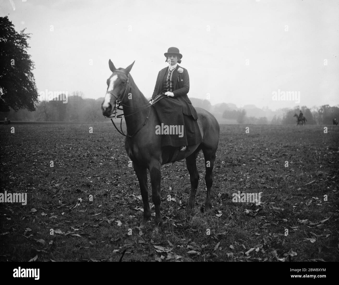 Incontro di Leconfield Hounds a Petworth House , Sussex . La Contessa de Pelet , seguace francese degli hounds . 1 novembre 1924 Foto Stock