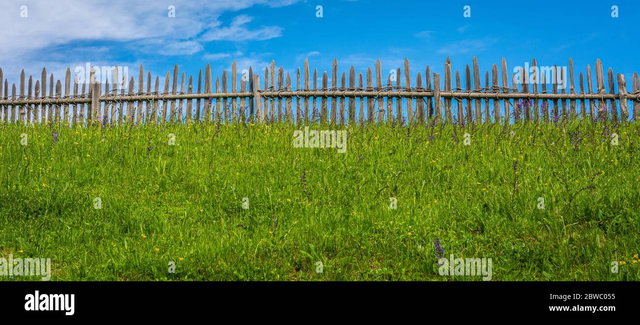 prato fiorito e erba verde davanti ad una recinzione in legno contro un cielo blu e nuvole. concetto di quiete e silenzio Foto Stock