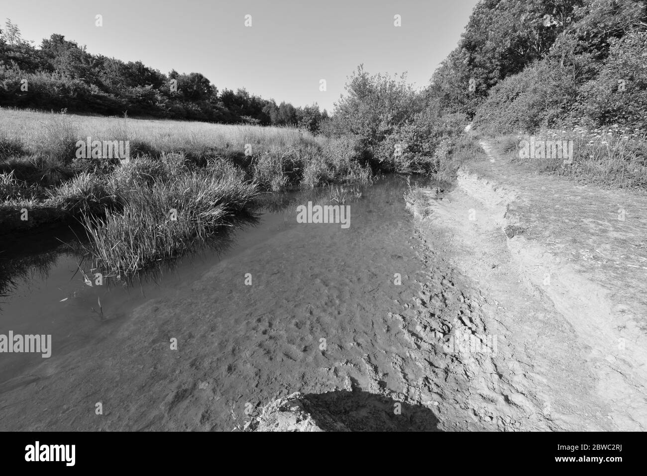 Il fiume Mole in maggio a Horley in Surrey. Foto Stock