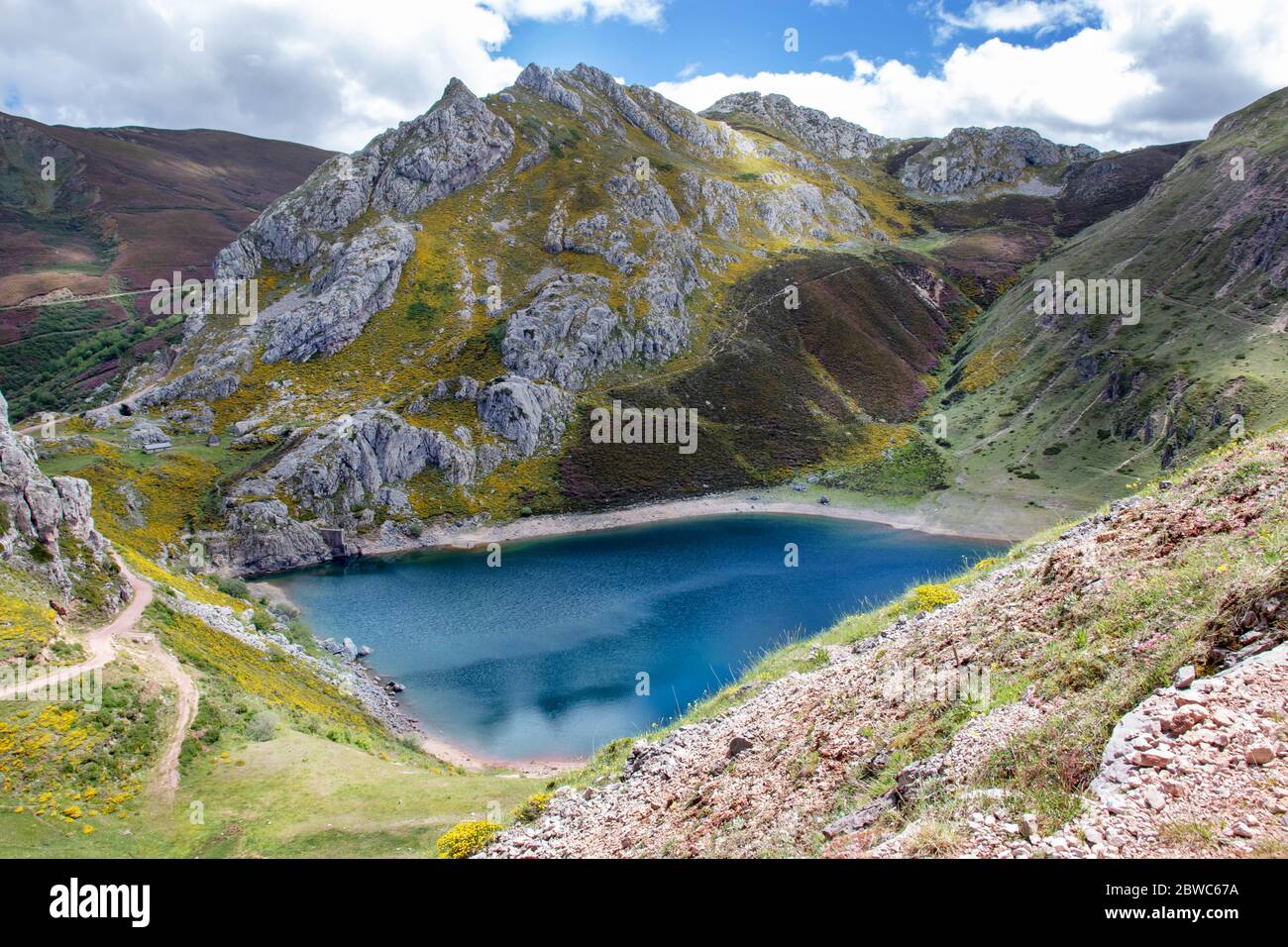 Lago di montagna Cueva nel parco nazionale di Somiedo, Spagna, Asturie. Laghi glaciali di Saliencia. Vista dall'alto dal punto di vista. Fiori gialli. Foto Stock