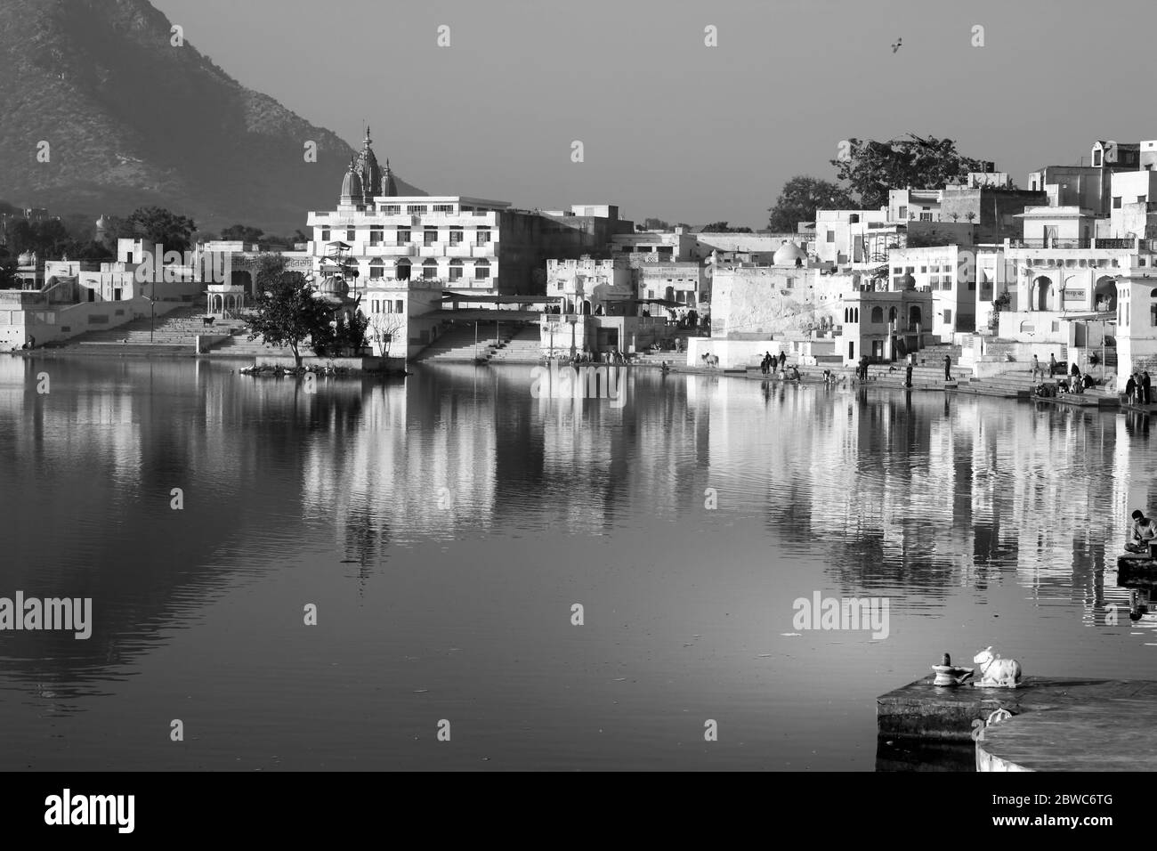 Pushkar in India all'alba Foto Stock