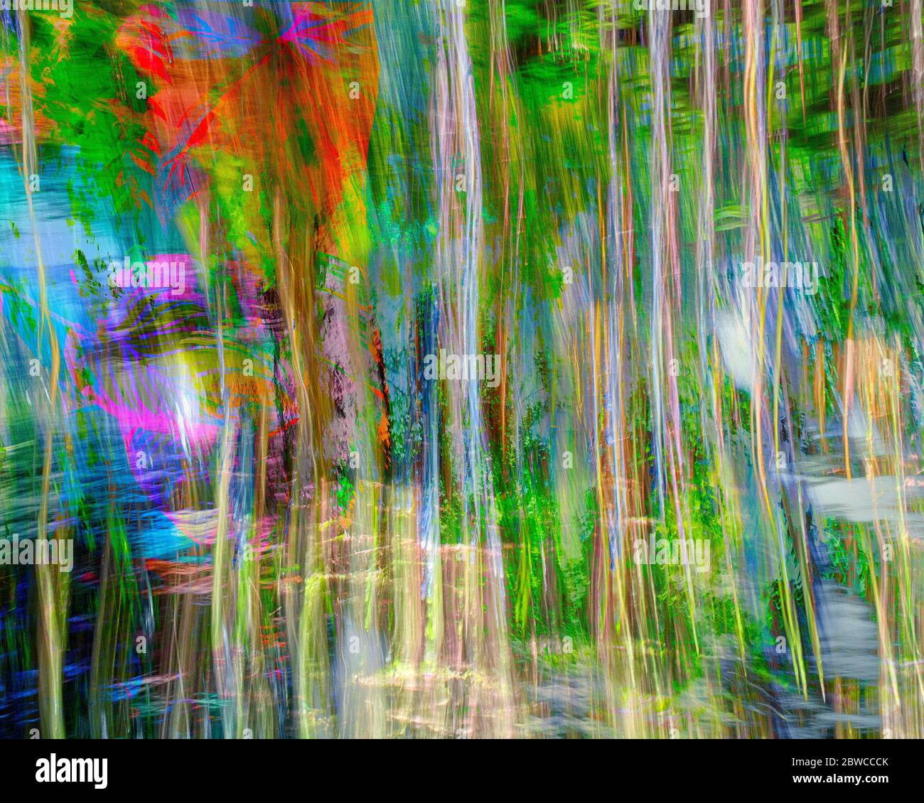 ARTE MODERNA: Astratta Chromatica Foto Stock