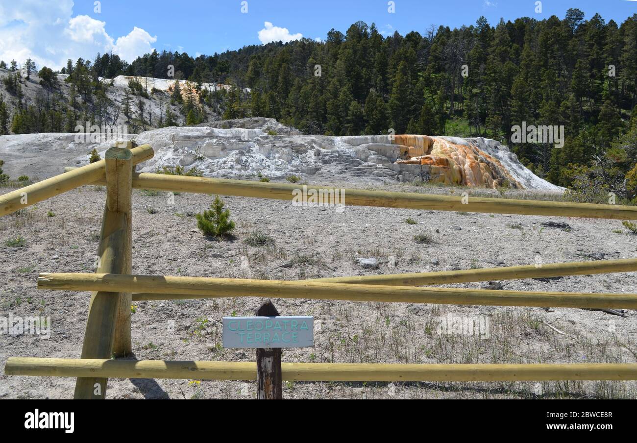 MAMMOTH, WYOMING - 7 GIUGNO 2017: Cleopatra Terrazza nella zona delle terrazze inferiori delle sorgenti termali di Mammoth nel Parco Nazionale di Yellowstone Foto Stock