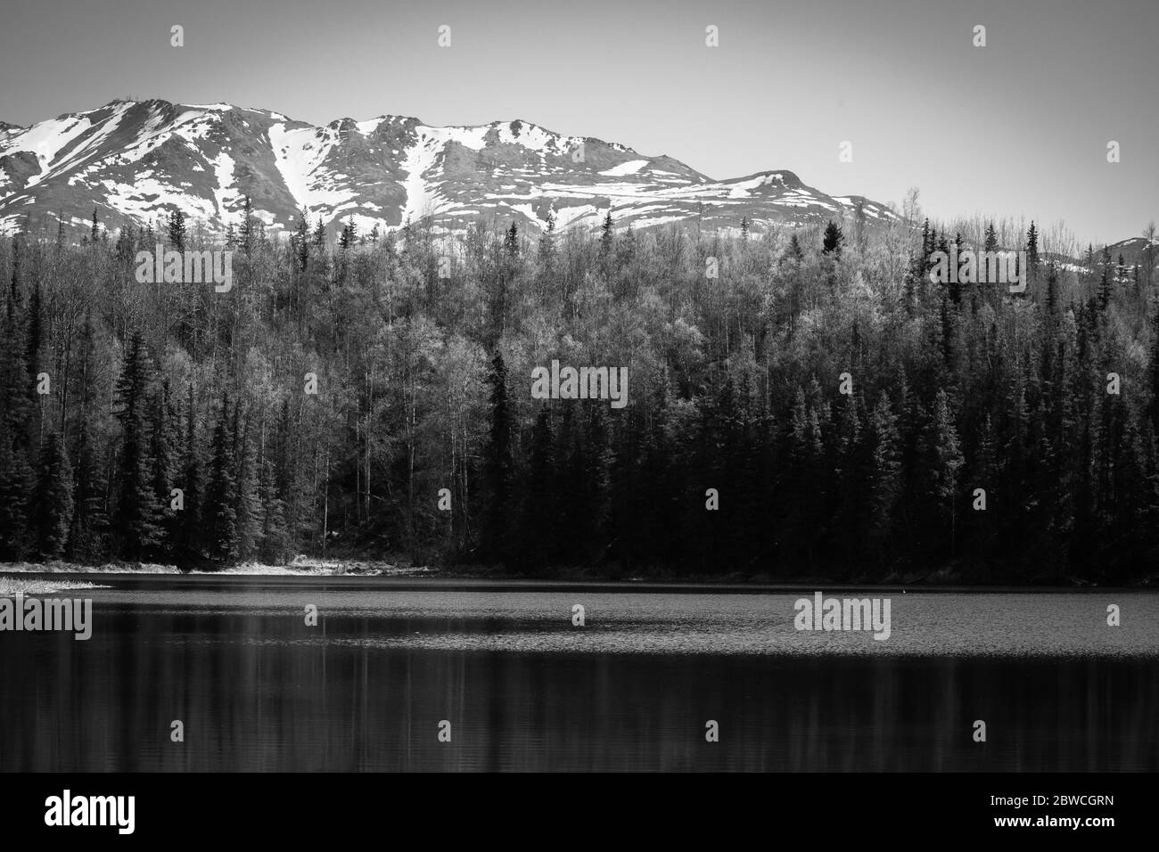 Paesaggio ad alto contrasto in bianco e nero. Foto Stock