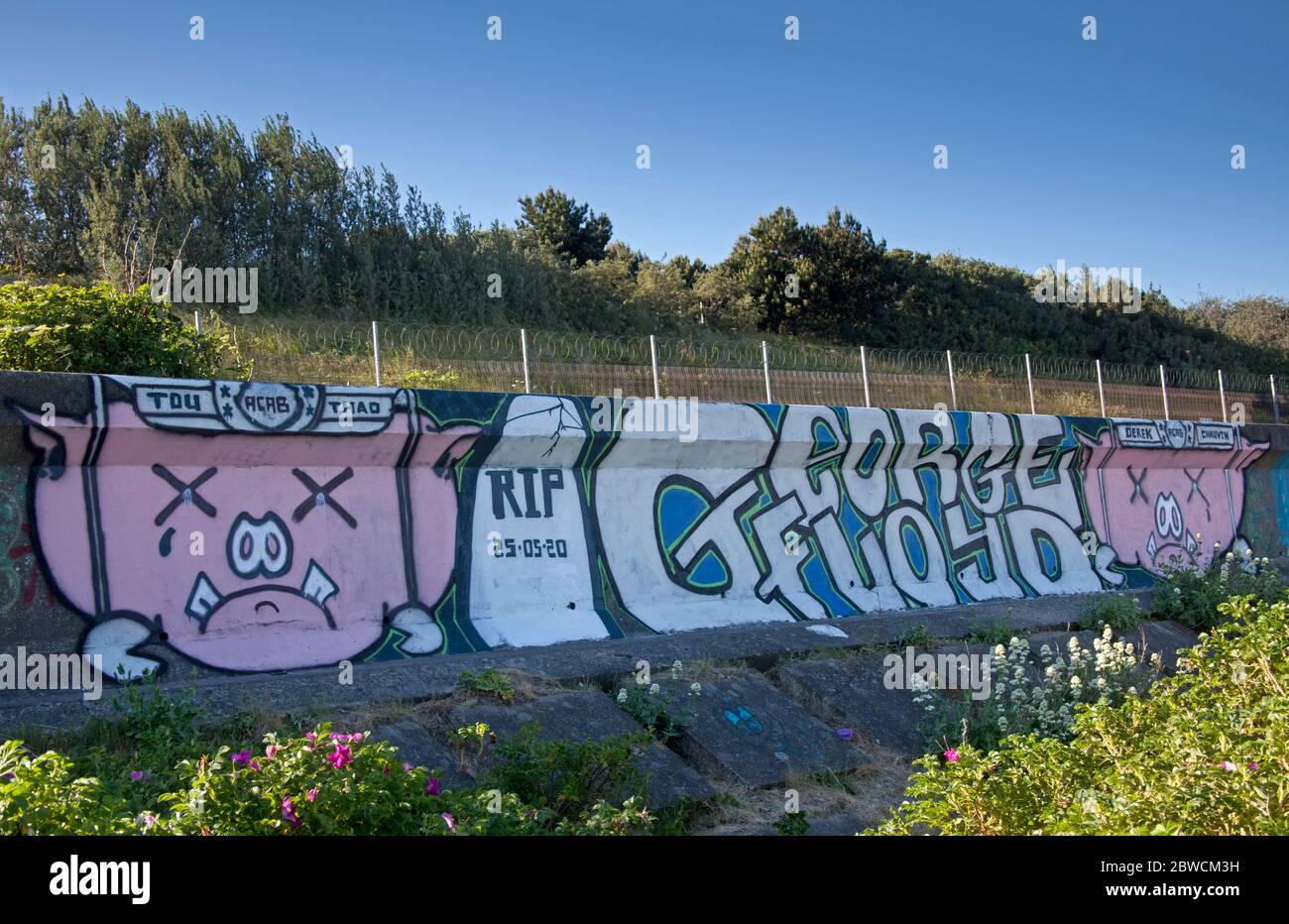 Portobello, Edimburgo, Scozia, Regno Unito. 31 maggio 2020. Un tributo d'arte di graffiti è stato dipinto all'estremità di Seafield di Portobello Beach, dopo la tragica morte di George Floyd, mentre attualmente i manifestanti in tutti gli Stati Uniti stanno dimostrando contro la brutalità della polizia nei confronti degli afroamericani.le parole 'RIP 25/05/2020 George Floyd', Sono scritte accanto alle teste dei maiali dietro le sbarre e il nome del disgraziato poliziotto di Minneapolis Derek Chauvin, accusato dell'uccisione di Floyd. Credit: Arch White/Alamy Live News. Foto Stock