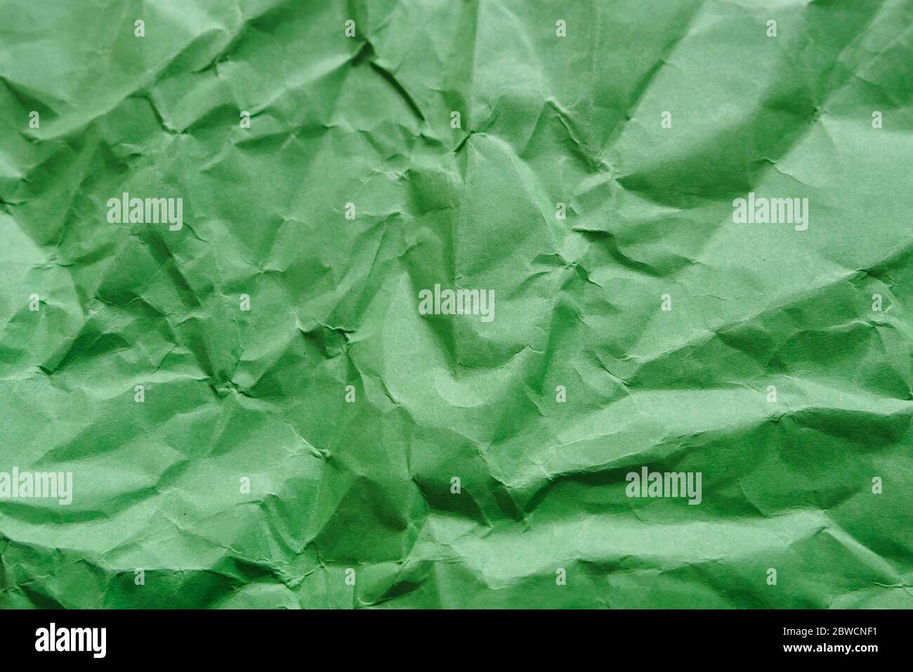 Carta verde sminuzzata, sfondo astratto vuoto, spazio per la copia Foto Stock
