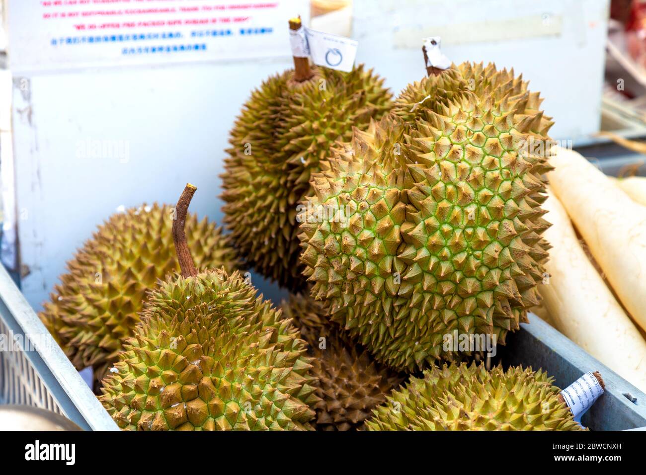 Durian Fruit noto per avere un forte e sgradevole odore venduto in un supermercato a Chinatown, Londra, Regno Unito Foto Stock