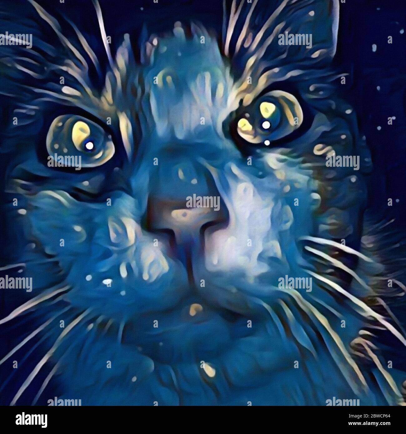 Occhi di gatto. Pittura digitale moderna Foto Stock