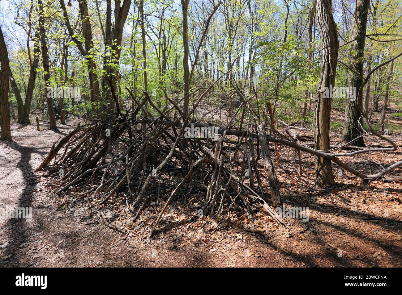 Forsythe Meadow Park Stony Brook Long Island New York Foto Stock