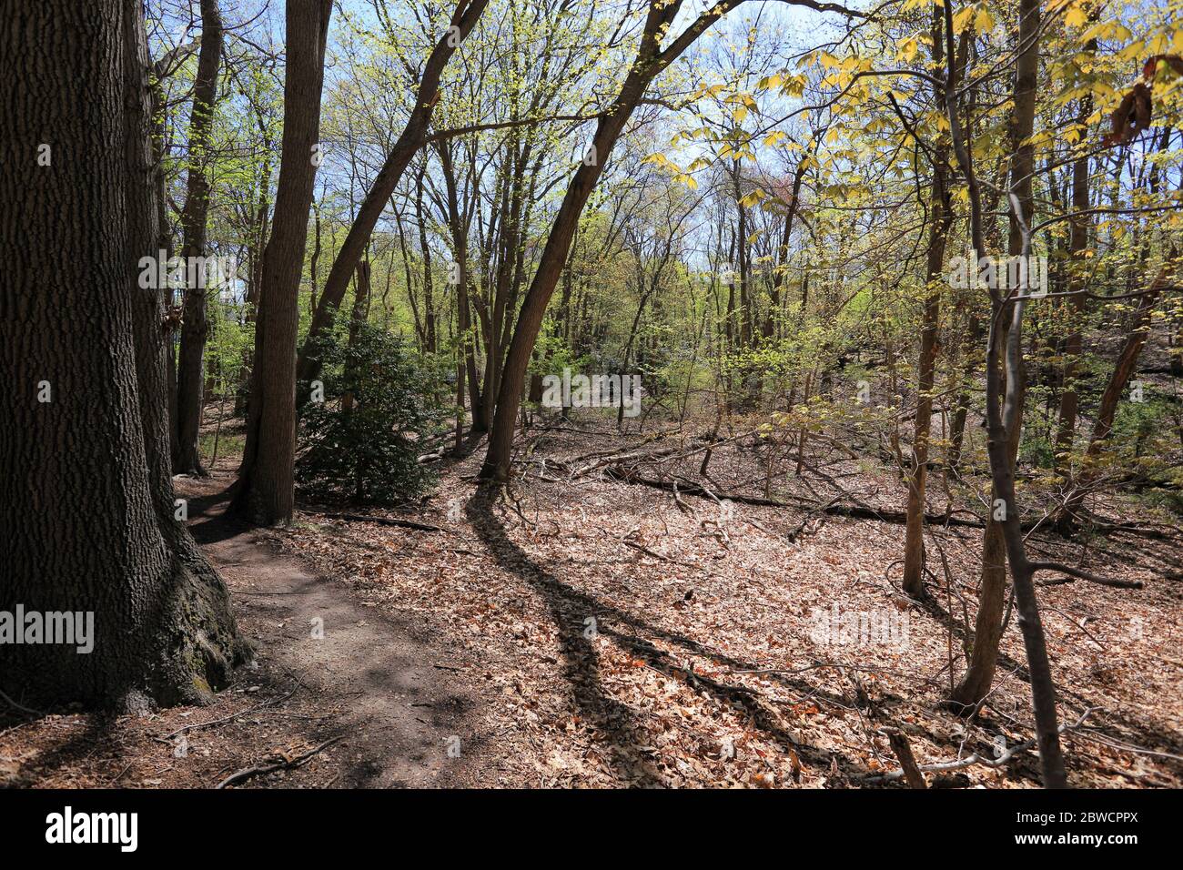 Forsythe Meadow Park Stony Brook Long Island New York Foto Stock