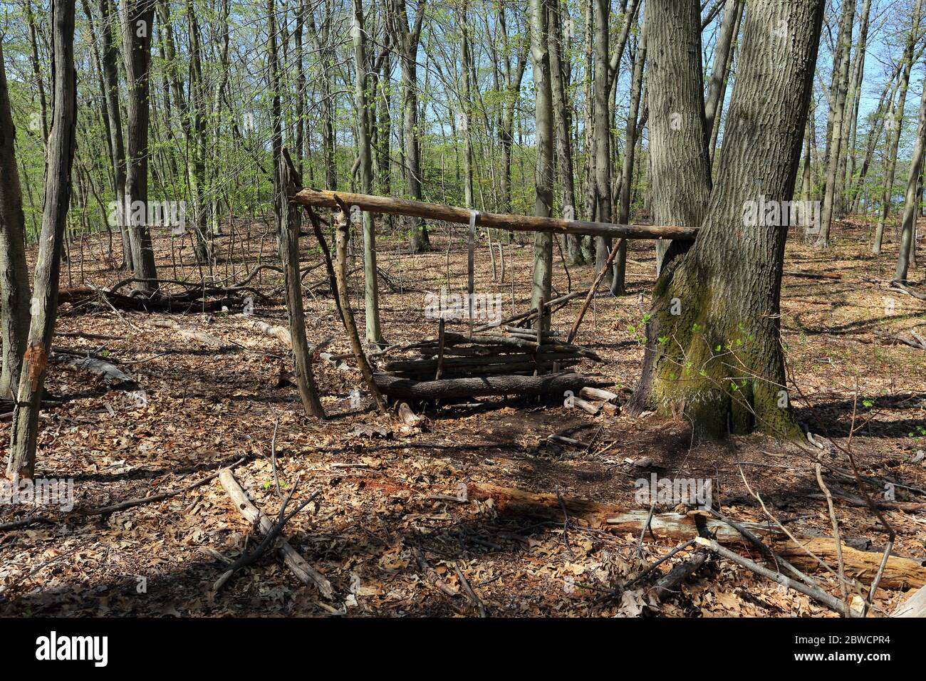Forsythe Meadow Park Stony Brook Long Island New York Foto Stock