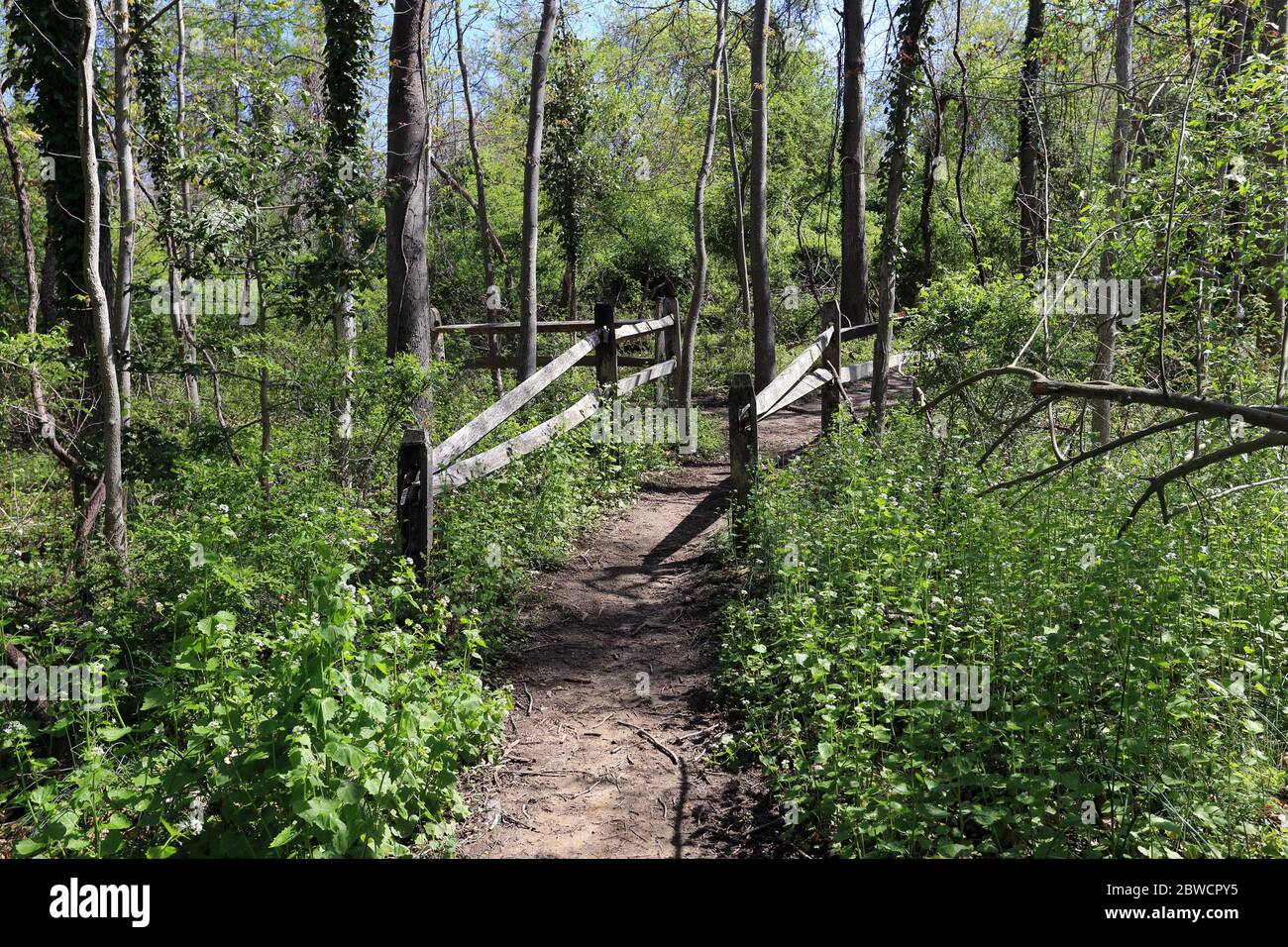 Forsythe Meadow Park Stony Brook Long Island New York Foto Stock