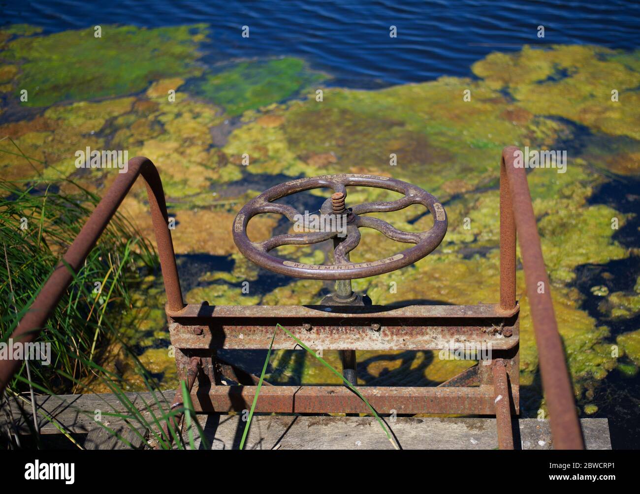 primo piano della ruota di chiusura Foto Stock