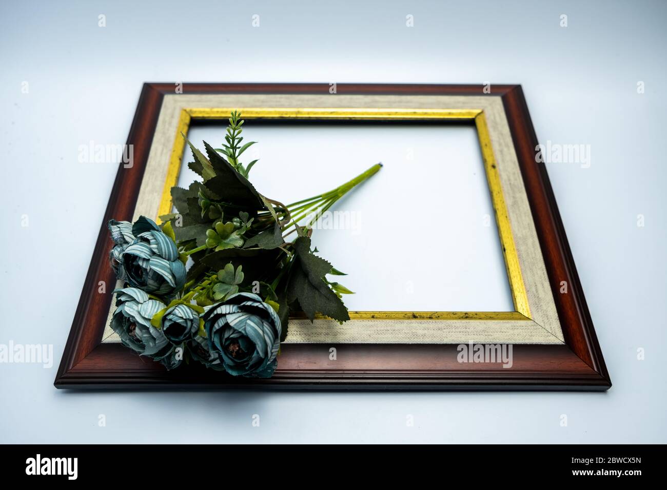 Vista dall'alto di un mazzo di rose blu nella cornice su sfondo bianco Foto Stock