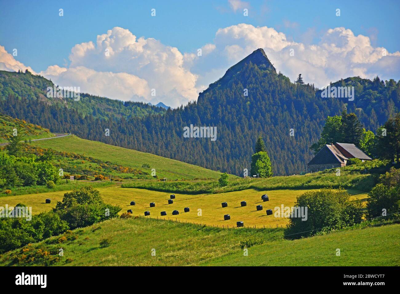 Sanadoire rock, Puy-de-Dome, Auvergne, Massiccio Centrale, Francia Foto Stock