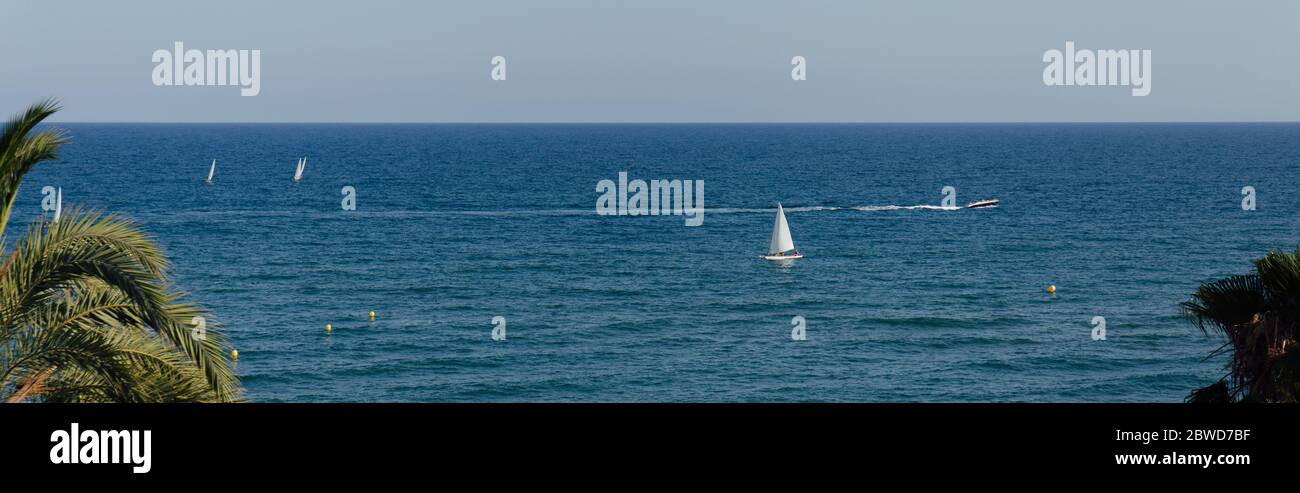 Foto panoramica di palme sulla costa e barche a vela in Catalogna, Spagna Foto Stock