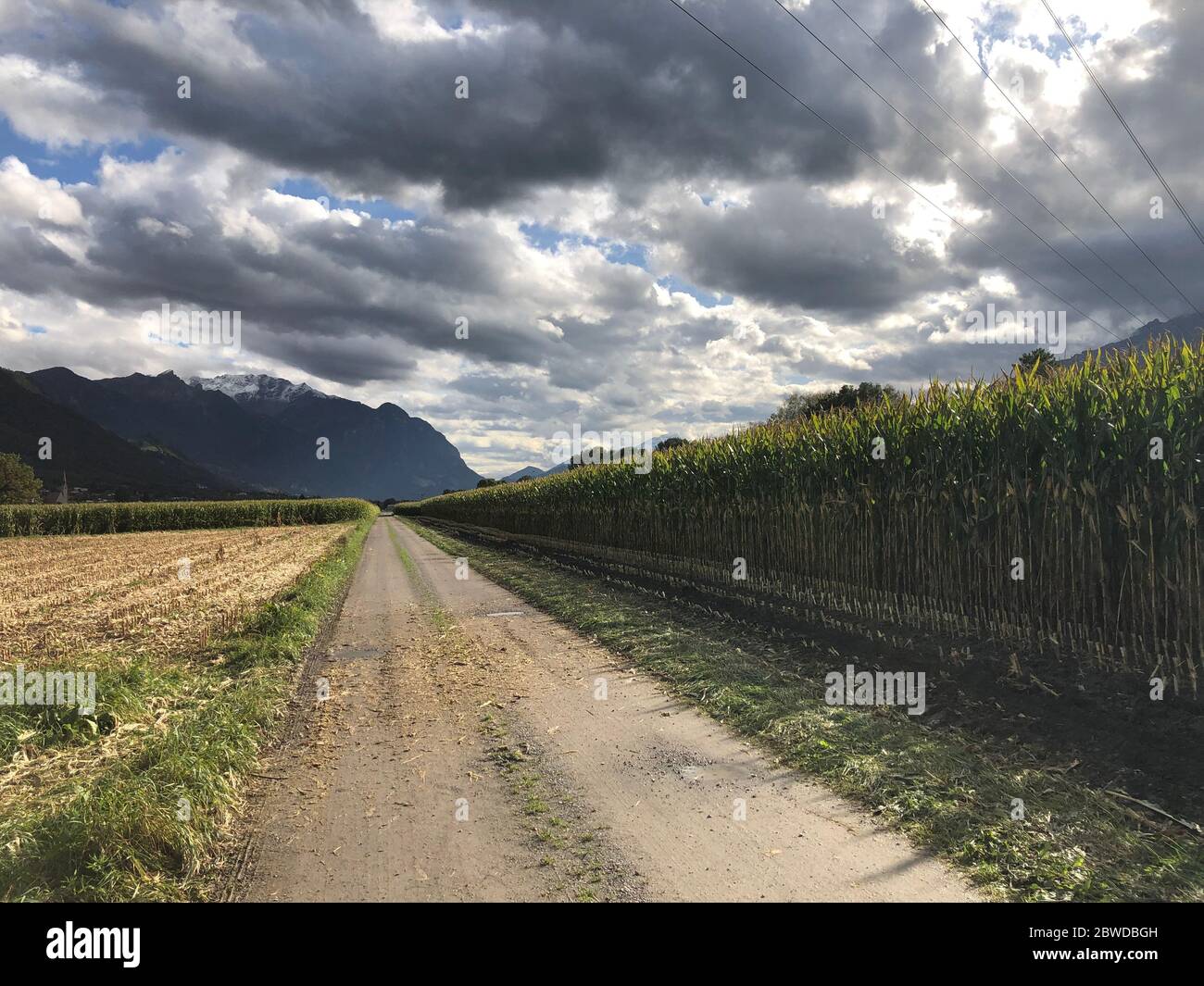 In un campo con le nuvole imminenti in Liechtenstein Foto Stock