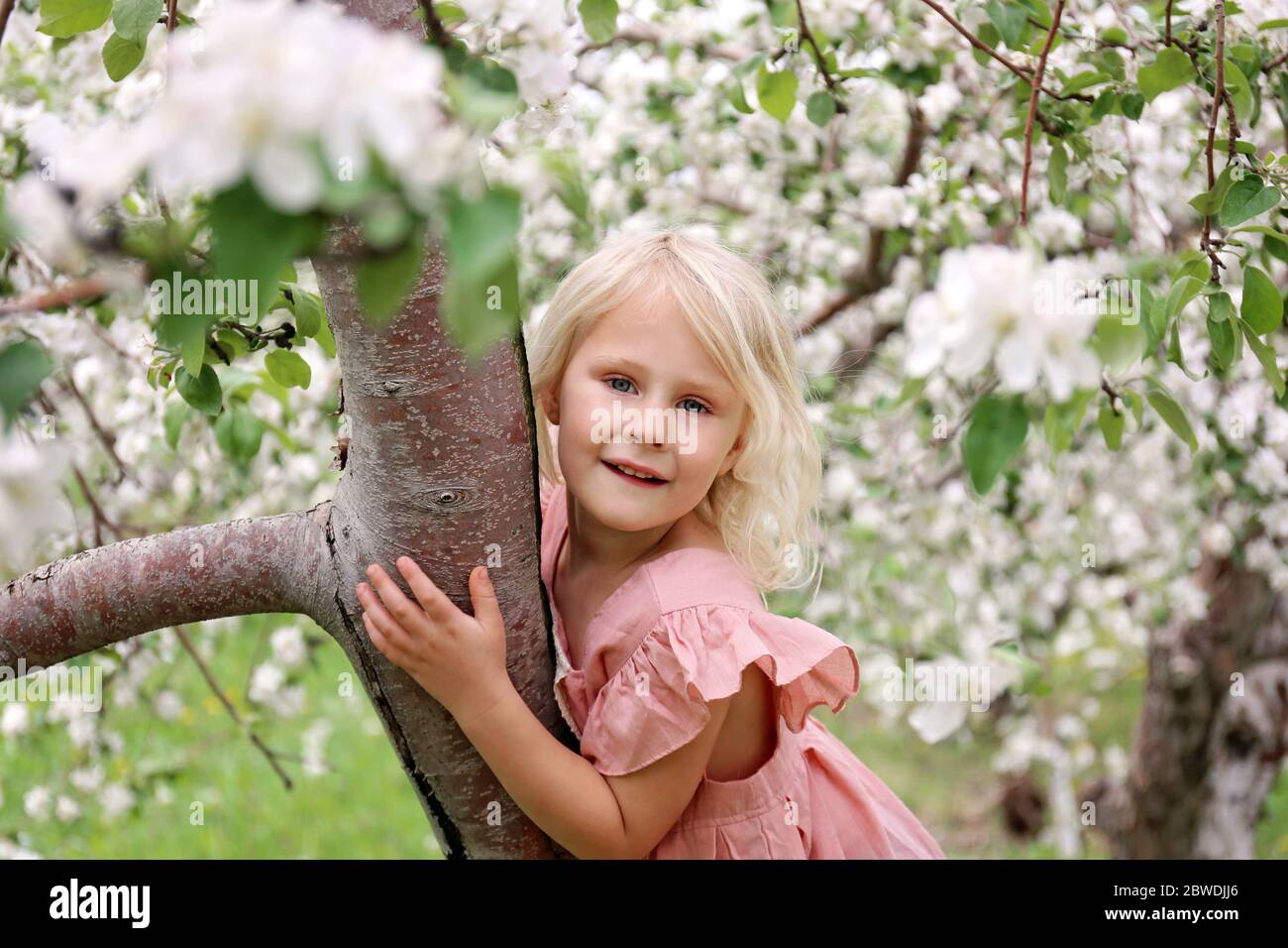 Una bambina carina di 5 anni sta giocando all'aperto in una giornata primaverile, arrampicandosi su un albero di mele fiorito al frutteto. Foto Stock