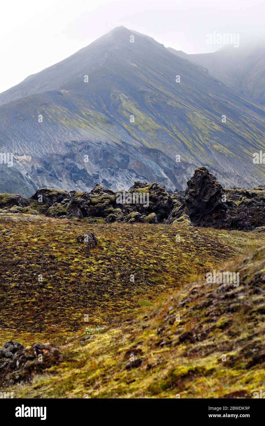 Paesaggio vulcanico, Landmannalaugar, Islanda Foto Stock