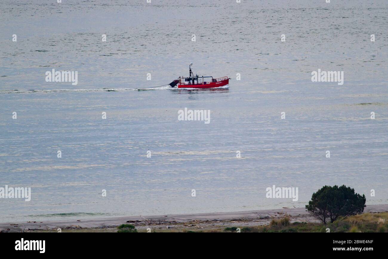 Dragaggio barca a Whakatane, Nuova Zelanda Foto Stock