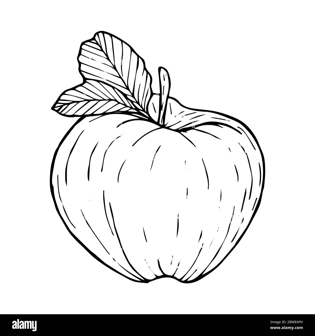 Disegno di Apple linea nera isolata su sfondo bianco illustrazione vettoriale per la progettazione e decorazione Illustrazione Vettoriale