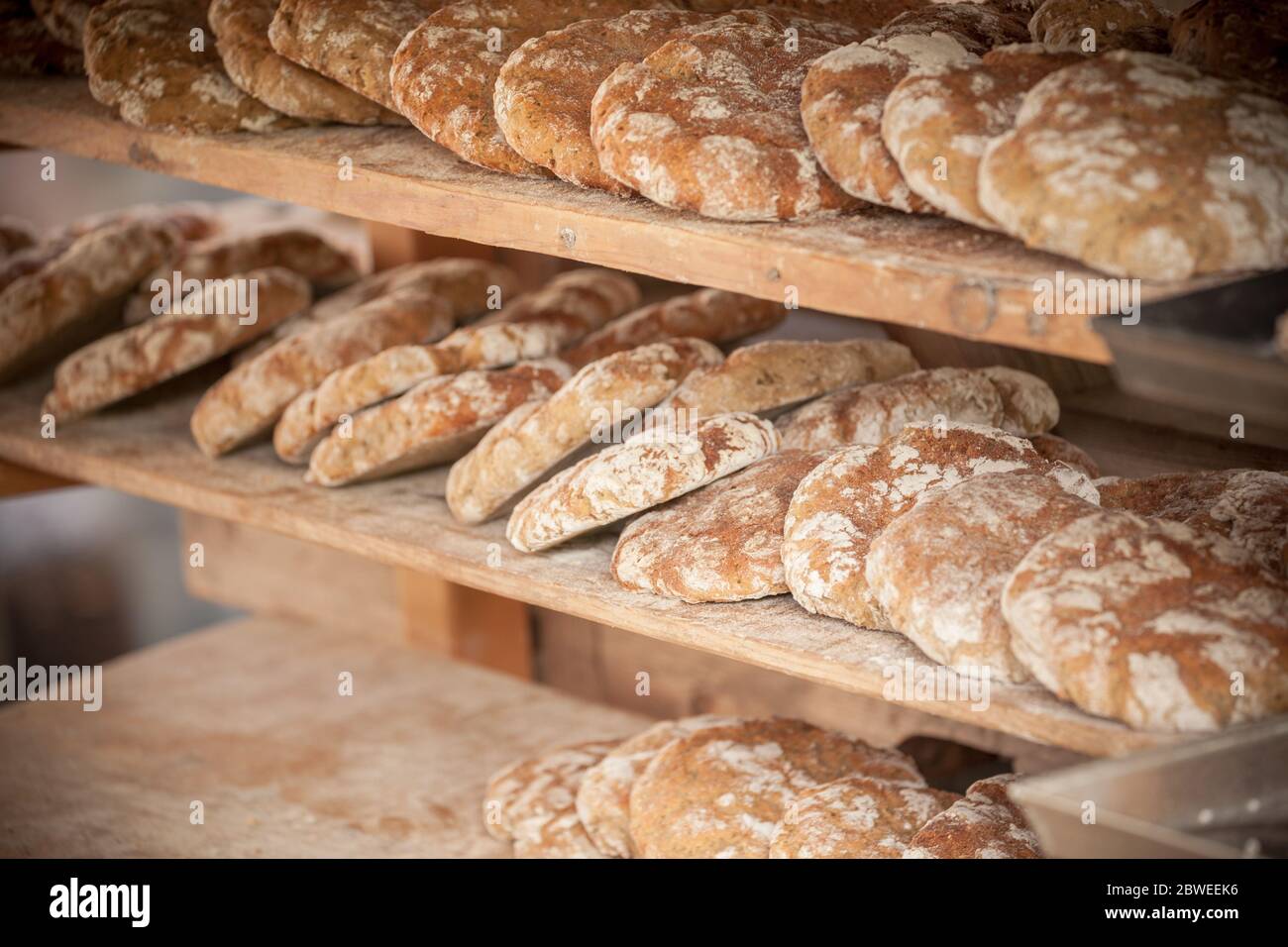 Tradizionale pane di farina di sego cotto in loco durante la festa 'Torggelen' in Val Isarco, Dolomiti. Foto Stock