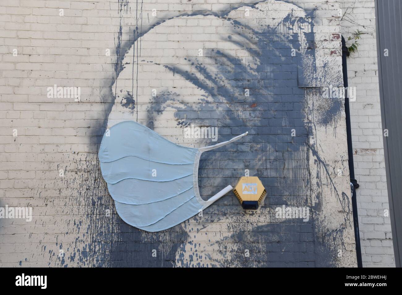 Banksy Graffiti la ragazza con il timpano forato con maschera blu viso (covid-19). Albion Dockyard, Hanover Place, Bristol Foto Stock