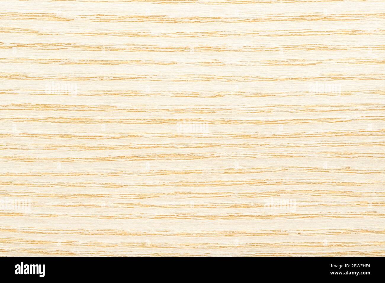 Struttura in legno di pino. Sfondo compensato a strisce. Colore beige naturale. Foto Stock